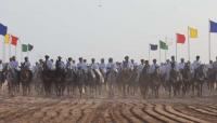 Traditional horse show highlights Omani heritage at Al-Ashkhara Atmosphere 2026