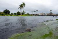 Hurricane Warning Hits Hawaii: Haleakala Closed, Cruises Rerouted, Flights Cut