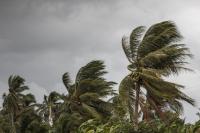 Wind Advisory Issued as Tropical Wave Nears