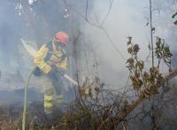 Spain extradites gangster Pipo; Film festival continues; Landslides close Cuenca-Girón-Pasaje hwy; Cuenca’s traffic congestion; Police bust surveillance centers