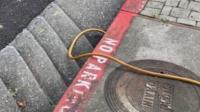 Howard County investigates lawn-care company after neighbors film hose at drain