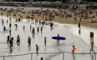 World : Australia's Nsw To Launch Gun Buyback Scheme After Bondi Beach Attack