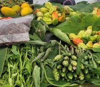 Nagaland Agriculture Policy to transform rural economy
