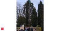 'Suryapath Tiranga': Global relay of tricolour spirit to mark 80th Independance Day