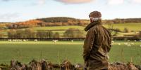 Britain puts £65m behind farmers as drought starts threatening the country’s food supply