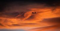 Plane took off in Kawartha Lakes, never came back: OPP