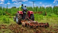 Agricultural growth slows to 3.6 per cent in May