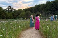 Farm boosting natural habitats with new wildflower,  sunset music nights