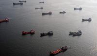 1,500 ships stuck in the Persian Gulf could become invasive species 'super-spreaders'