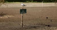 UK drought highlights precarious food system