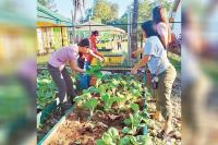 SMC expands urban farms beyond Luzon