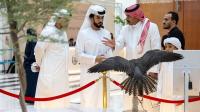 First ADIHEX Falcon Auction launches at ADNEC Centre Abu Dhabi with strong interest from falconry enthusiasts