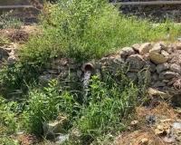 Battir’s Ancient Springs Keep a Centuries-Old Farming Tradition Alive