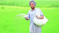 MP govt bans sales of subsidised fertilisers, farmers express concern as Kharif crops will be affected