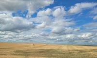Saskatchewan crops continue to mature as harvest progress trails average