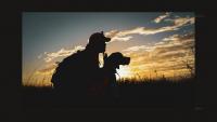 Interior Opens 92 Million Acres To Hunting: What North Texas Hunters Need To Know