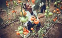 How women farmers can stabilise food systems