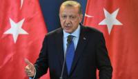 Syrian Kurds to have share in regional peace-Erdogan