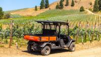 Bald Range wildfire leaves Summerland wineries, farmers bracing for losses