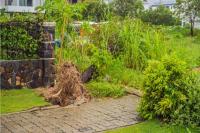 Gardeners Arrive to Find Their Community Garden Deliberately Destroyed Overnight