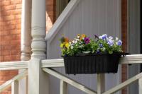 She Thought Her Gardening Days Were Over, Until a Tiny Balcony Brought Her Garden Back