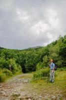 Forest Society hosts timber harvest tour on Mount Monadnock Aug. 19