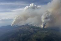 Wildfires shut down B.C. wineries' peak tourism season, leaving financial strain