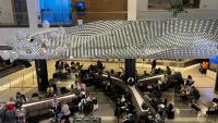 Hawaii Vacationers Face Mounting Flight Cancellations Amid Tropical Storm Lala