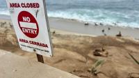 California Coastal Commission considers closing La Jolla Cove to protect sea lions
