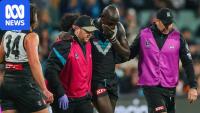 Key Demon faces nervous MRO wait with AFL finals near after high shot