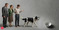 Greek proverb of the day: ‘I said this to my dog and my dog said it to its tail’ – a lesson on responsibility and passing the buck