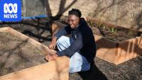 Gardening is about more than food for young people learning English