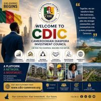 Cameroonian flags off platform to boost diaspora investment back home