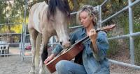 A Real Rockin’ Horse: Music Tames a Rescue Foal Who Learns to ‘Play’ Instruments for Album Debut