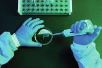 Scientists say U.S. will suffer if White House bars research with China