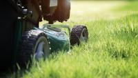 Gardening: Watching the grass grow – Rainy season brings dread, exhaustion