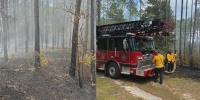 Bay County Fire Rescue contain wildfire off Steelfield Road