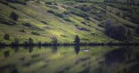 Wayne and Wanda: Am I building a life in Alaska, or cycling through seasonal flings and friends?