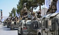 Campaigners urge UK to fight back over Taliban's purge on women's rights