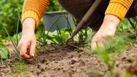 No More Hand Pulling Or Chemicals: The Easy-To-Use Tool For Removing Weeds