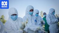 These graphs show why this Ebola outbreak is set to be the worst in history