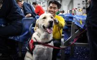 Bill would establish a site on the National Mall to honor service animals and their handlers