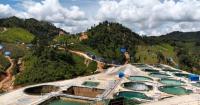 Mengkang rare earth project in Laos suspended amid policy changes