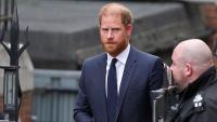 Prince Harry diverts funding from charity he co-founded to help elephants