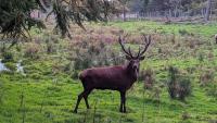Under An Hour From Halifax Sits Canada's Fun Wildlife Park With Scenic Wetlands And Trails