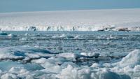 A Worrisome Change: Antarctica Stops Being a Sink and Becomes a Source of Mercury Pollution