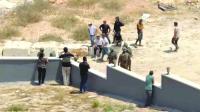 Palestinians ‘facing settler violence for months’