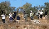Settler Attacks in Ramallah, Hebron, and Jenin Governorates in West Bank