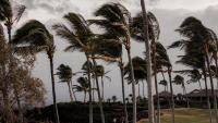 Flooding and destructive wind warnings as Hawaii braces for potential first direct hurricane hit in 155 years