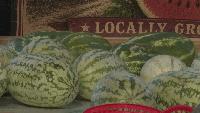 Local vendors bring fresh flavors to the Abilene Farmers Market